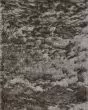 Indochine 4550F Gray/Black 2'x3'4" Area Rug