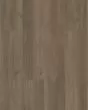 Infinite 12 Raconteaur Luxury Vinyl