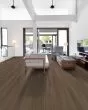 Infinite Spc Raconteaur Luxury Vinyl