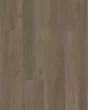 Infinite Spc Raconteaur Luxury Vinyl