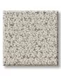 Intricate Trace Pet Friendly 43oz Carpet