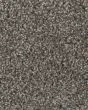 Jackson Hole I Textured 42oz Carpet