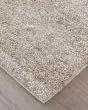 Jameson 39R8F Tan/Ivory Area Rug