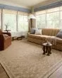 Judy JUD-07 Natural/Ivory Area Rug