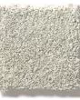 Just A Hint II Textured 58oz Carpet