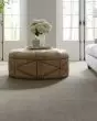 Greenwich Style Smartstrand 48oz Carpet