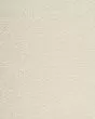 Delightful Intent SmartStrand 42oz Carpet