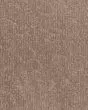 Fleurious Travertine Textured 46oz SmartStrand Carpet