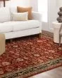 Spice Market Keralam Garnet Area Rug