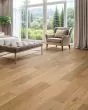 Bellacree Blanched 7" Walnut Hardwood