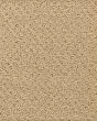 Kingsbury Castle SmartStrand Carpet