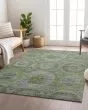 Karaj KJ6 Olive Area Rug