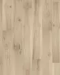 Farrington Crest Tree Lights BelleLuxe 8" Laminate