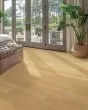 Gloriana Charm Straw Oak BelleLuxe 8" Laminate
