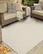 Lanai By Salt Life Lanai Cream Area Rug