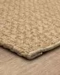 Lanai By Salt Life Lanai Tan Area Rug
