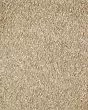Lavish Luxury Timeless Carpet