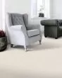Lavish Touch Textured SmartStrand Carpet
