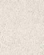Lavish Touch Fine Silk Carpet