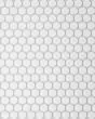 Le Cafe White Matte Porcelain 3/4" Penny Round Mosaic Tile