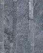 Ledger Stone Astro Silver Natural Stone Tile
