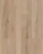 COREtec Pro Plus Enhanced Lucent Oak Luxury Vinyl