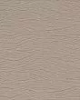 Lush Elegance Wisdom Carpet