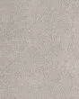 Luxuriant Feel Textured SmartStrand Carpet