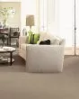 Luxurious Moment Patterned SmartStrand Carpet