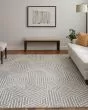 Lytton T8010 Gray/Ivory Area Rug