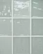 Marin Aloe Green Glossy Glazed Ceramic 4"x4" Wall Tile