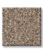 Confidence II Textured Pet Friendly 58oz Carpet