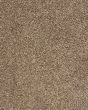 Mellow Retreat Textured SmartStrand Carpet