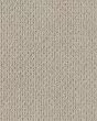 Mera Portico Carpet