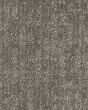 Modern Texture SmartStrand 46oz Carpet