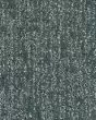 Modern Texture SmartStrand 46oz Carpet