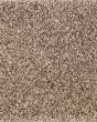 Natural Beautiful II SmartStrand Carpet