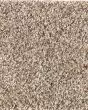Natural Beautiful II SmartStrand Carpet