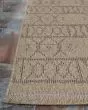 Naturalistic Adobe Natural/Brown Area Rug