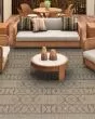 Naturalistic Adobe Natural/Brown Area Rug
