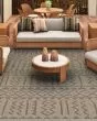 Naturalistic Moroccan Natural/Brown Area Rug