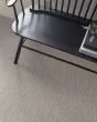 Nature Within Patterned 43oz Carpet
