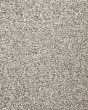Natures Allure II SmartStrand Carpet