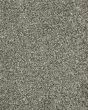 Natureâ€™s Allure II Aspen Carpet