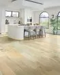 Nature's Canvas Platinum White Oak Airy Respite Hardwood