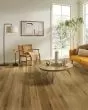 Nature's Canvas Silver White Oak Honeyed Gold Hardwood
