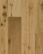 Nature's Canvas Silver White Oak Honeyed Gold Hardwood
