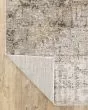 Nebulous 1h Beige/Grey Area Rug