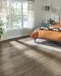 Natural Forest Oak 4" Tree Top Hardwood