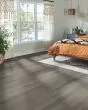 Natural Forest Oak 4" Understated Gray Hardwood